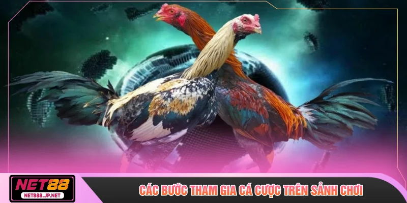 Các bước tham gia cá cược trên sảnh chơi