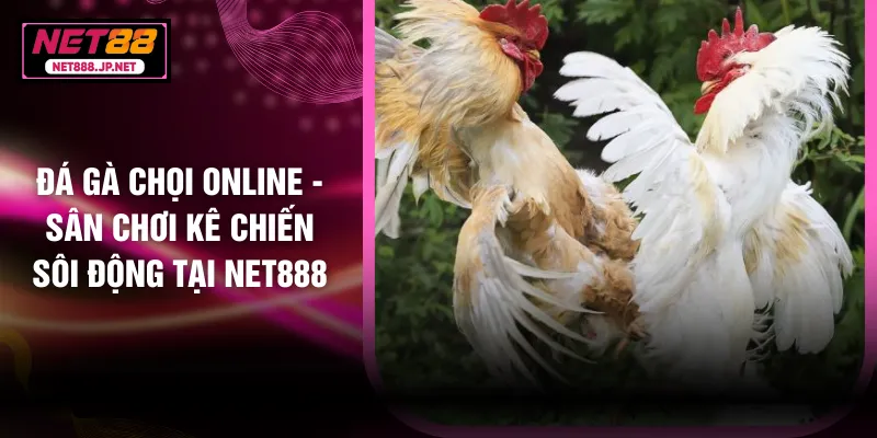 Đá Gà Chọi Online - Sân Chơi Kê Chiến Sôi Động Tại NET888