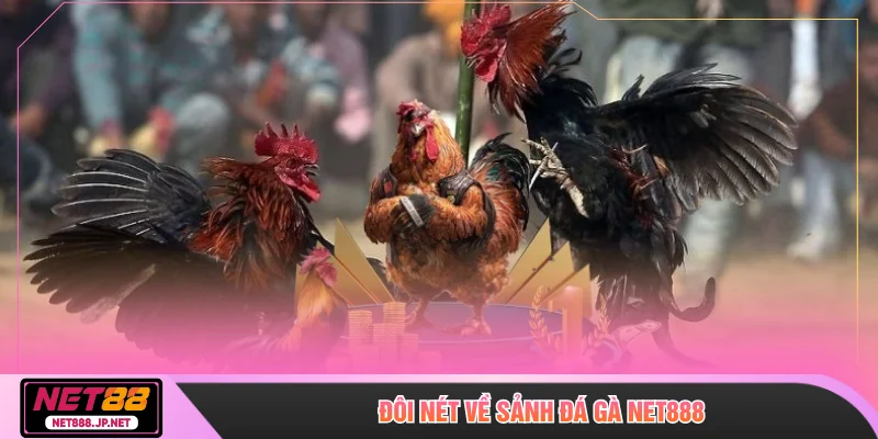 Đôi nét về sảnh đá gà NET888
