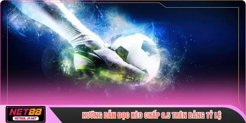 Hướng dẫn đọc kèo chấp 0.5 trên bảng tỷ lệ