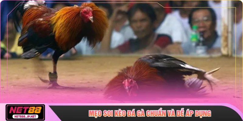 Mẹo soi kèo đá gà chuẩn và dễ áp dụng