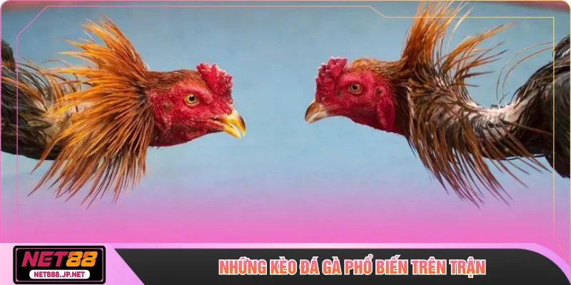 Những kèo đá gà phổ biến trên trận