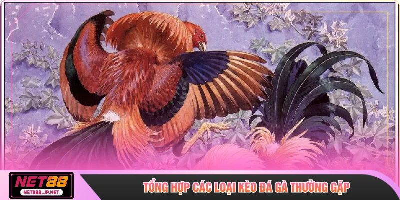 Tổng hợp các loại kèo đá gà thường gặp