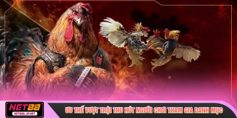 Ưu thế vượt trội thu hút người chơi tham gia danh mục